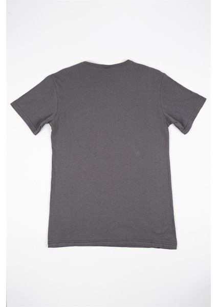 Kadın Gri Baskılı Desen Tişört fiyatları