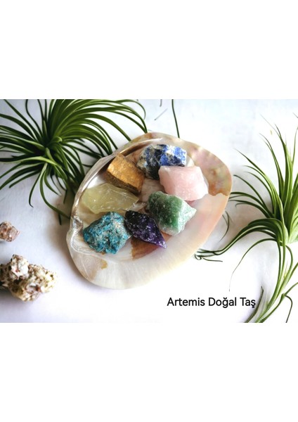 Doğal Taş İstiridye Deniz Kabuğu Ve 7'li Ham Doğal Taş Set