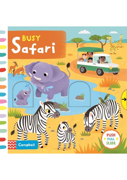 Busy Safari