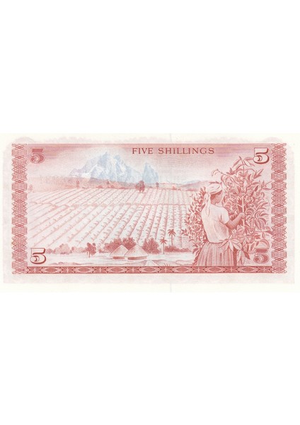Kenya 5 Schıllıngs, 1978, Yabancı Eski Kağıt Para "çil"