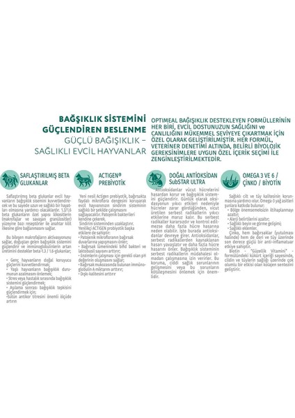 Super Premium Sensitive Digestion Kuzu Etli ve Hindi Filetolu Tahılsız Yetişkin Kedi Yaş Maması 85 Gr X 12