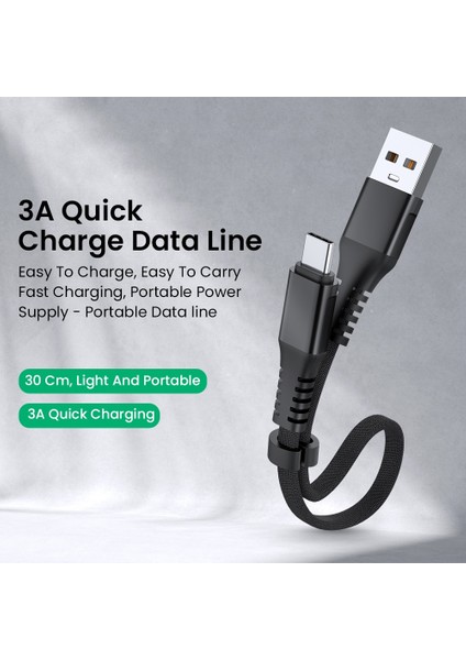 Ranipobo 30CM 3A USB Kablosu Hızlı Şarj USB C Tipi Kablo Kısa Şarj Cihazı Veri Şarjı Mikro USB Kablosu Cep Telefonu Kablosu USB Kablosu (Yurt Dışından)