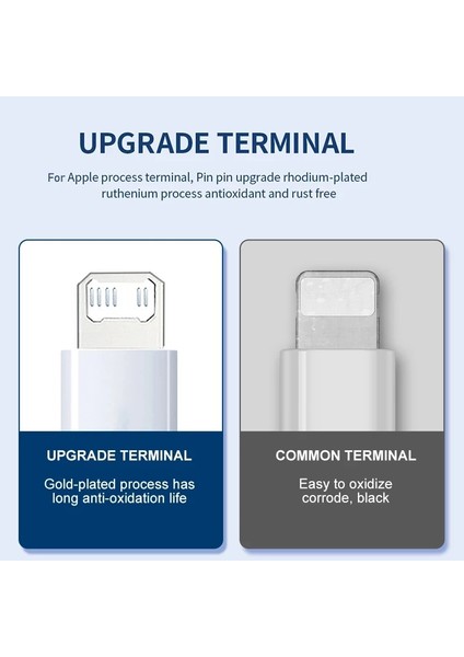 Orijinal 20W Pd USB C Kablosu iPhone 14 13 12 11 Pro Max Mini Hızlı Şarj Kablosu Se Veri Tipi C Hızlı Şarj Kablosu Kablosu (Yurt Dışından)