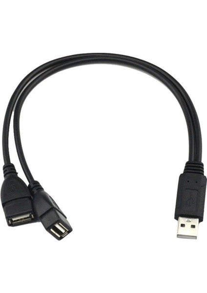 USB 2.0 A 1 Erkek - 2 Çift USB Dişi Veri Merkezi Güç Adaptörü Y Ayırıcı Kablo (Yurt Dışından)