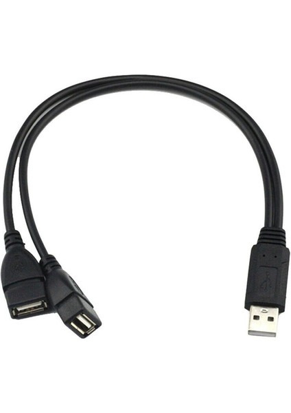 USB 2.0 A 1 Erkek - 2 Çift USB Dişi Veri Merkezi Güç Adaptörü Y Ayırıcı Kablo (Yurt Dışından) fiyatları