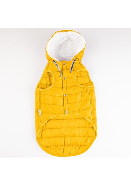 Railway Sarı Su Itici Orta-Büyük Irk Köpek Yelek Yağmurluk modelleri