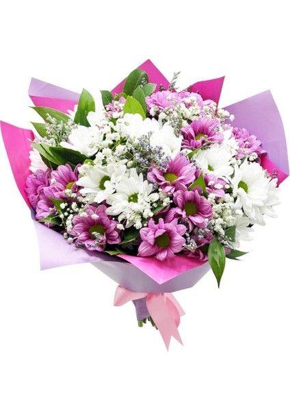 Papatya - Pembe Beyaz Mary fiyatları