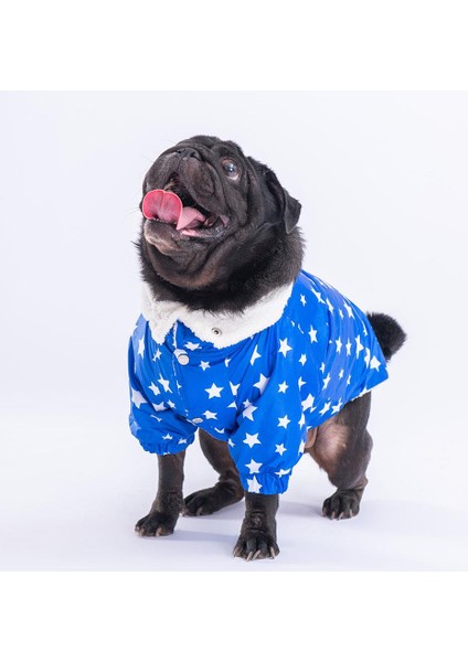 Stars Blue Peluşlu Su Geçirmez Küçük Irk Köpek Yağmurluğu