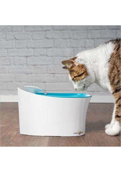 Motorlu Akar Sulu Kedi Köpek Kuş Su Içme Kabı Haznesi Çeşmesi Şelalesi Çeşmesi Musluğu modelleri