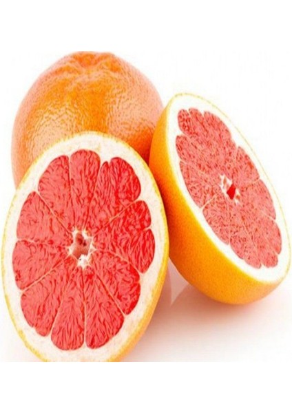 Tüplü Fidan Greyfurt Fidanı