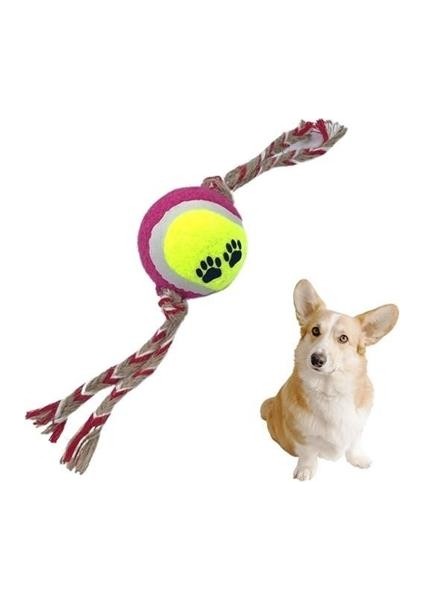 Petinka® Renkli Halat ve Tenis Toplu Yumaklı Köpek Çekiştirme Halat Oyuncağı