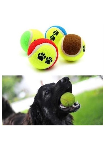 3lü Renkli Desenli Tenis Topu Kedi Köpek Oyuncağı