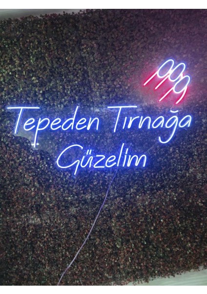 Sanec Tepeden Tırnağa Güzelim Güzellik Merkezi Kuaför Neon LED Tabela