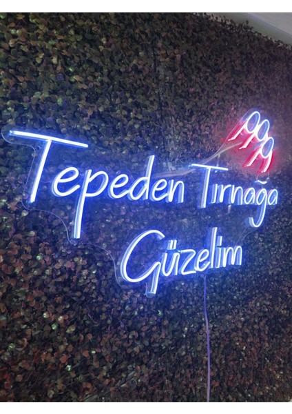 Sanec Tepeden Tırnağa Güzelim Güzellik Merkezi Kuaför Neon LED Tabela fiyatları