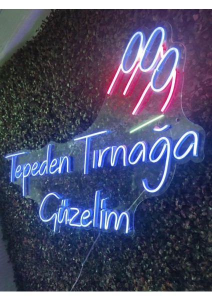 Sanec Tepeden Tırnağa Güzelim Güzellik Merkezi Kuaför Neon LED Tabela modelleri