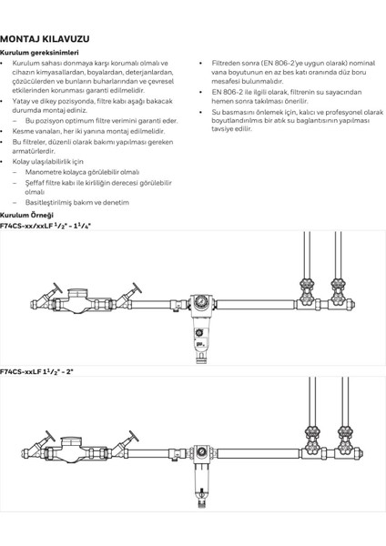 F74CS -1 1/4 Aa Ters Yıkamalı Filtre - 1 1/4''
