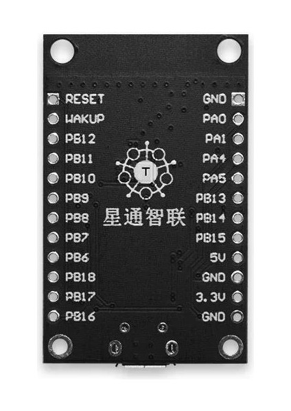 TB-01 W600 WiFi Geliştirme Kartı