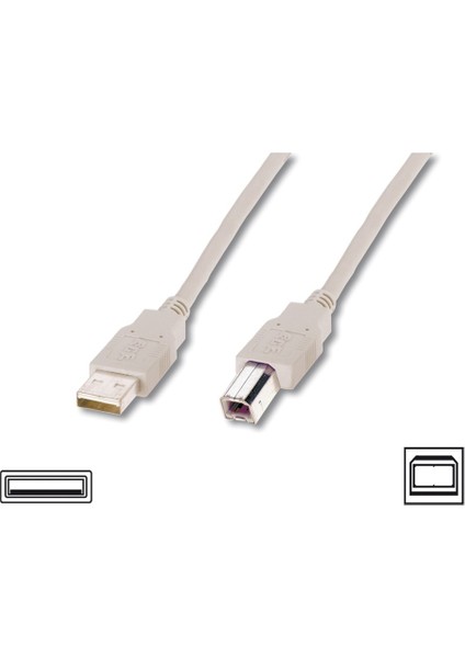 USB 2.0 Bağlantı Kablosu, USB A Erkek - USB B Erkek, 1.8 metre, AWG 28, USB 2.0 uyumlu, UL, bej renk