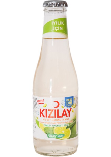 Misket Limonlu ve Nane Aromalı Maden Suyu 200 ml x 24 Adet