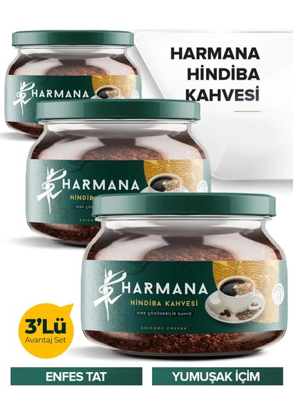 Hindiba Kahvesi 3 Adet 3x 150 gr Detox Kahve