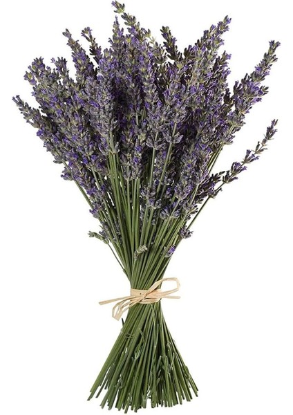 Yöresel Lavanta (Demet)