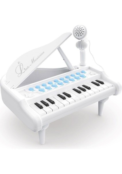 BAO-1505A 31 Tuşlu Mini Piano Mp3 -Vardem