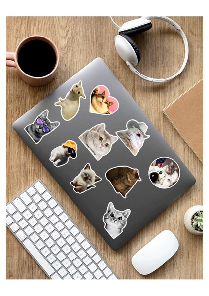 AR Sticker Cats Temalı Laptop Notebook Tablet Sticker Set 1 ARSET10A