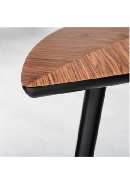 Orta Sehpa Lövbacken Kahverengi Meridyendukkan 77X39 cm Kavak Ağacı Kaplama Modern Sehpa