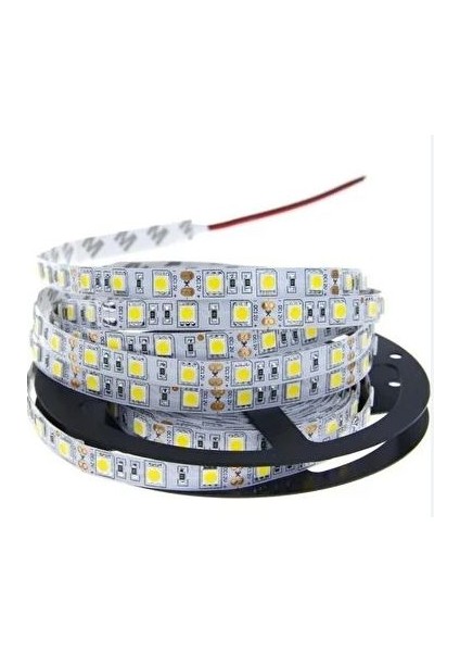 Powermaster Şerit LED Tek Çipli Mavi 5 Metre Dış Mekan Silikonlu LED Işık Aydınlatma