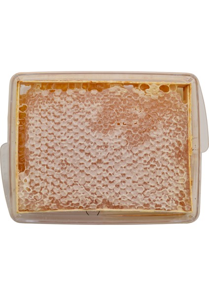 Seksiyon Karakovan Petek Balı 500 gr