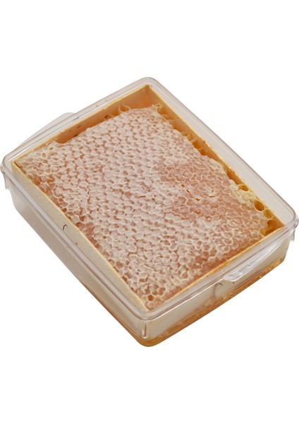 Seksiyon Karakovan Petek Balı 500 gr fiyatları