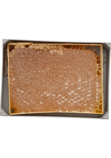 Seksiyon Karakovan Petek Balı 500 gr fırsatları