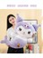 40CM Denizkızı Kurome Melody Peluş Oyuncak (Yurt Dışından) 2