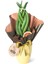 Paşa Kılıcı - Örgülü Sansevieria Cylindrica Sarı Lily 1