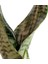 Paşa Kılıcı - Sansevieria Trifasciata Kırçıllı Beyaz Zoe 3