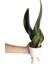 Paşa Kılıcı - Sansevieria Trifasciata Beyaz 2