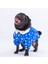 Stars Blue Peluşlu Su Geçirmez Küçük Irk Köpek Yağmurluğu 1