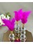 3 Lü Tüylük Kristal Set 1