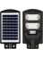 100 Watt Ultra Kaliteli Güneş Enerjili Solar Sokak Armatürü - Çok Yüksek Işıklı Solar Sokak Lambası 1