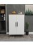 Enda Home 3 Raflı 2 Kapaklı Çok Amaçlı Dolap Çok Amaçlı Mutfak Dolabı Banyo Dolabı Çam & Beyaz 2