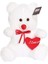 POL-1014 Peluş Kalpli Ayı 35 cm 3