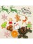 Baston Şeker Çam Ağacı Gingerman Kardan Adam Kurabiye Kalıbı + Glazür Yılbaşı Set 4
