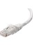 Powermaster Cat6 Patch Ethernet Internet Kablosu Kaliteli Model 1