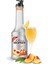 Şeftali Püresi 1000ML 2