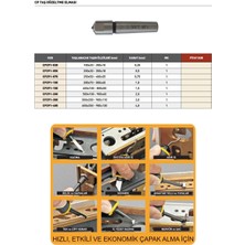 Fett 400X100 - 800X50 Cp Gratex Taş Düzeltme Elması RCP291-150