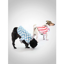 Eiso Köpek Montu - Su Geçirmez & Kürklü