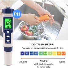 Silhouette Havuz Tuzu Test Cihazı, Dijital Tuzluluk Ölçer, Tuzlu Su Için Yüksek Doğruluk 5'i 1 Arada Tuzluluk Test Cihazı, IP67 Su Geçirmez Test Kiti (Yurt Dışından)