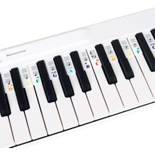 Silhouette Piyano Notası Etiket Düğme Şeridi Silikon Renk Evrensel Ayrılabilir Klavye Etiketi (Pvc Kutu) 61 Tuşlar (Yurt Dışından)