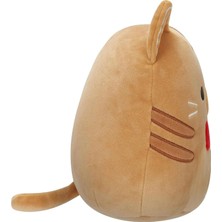 Squishmallows Yılbaşı Serisi - Kedi Jones 13 cm