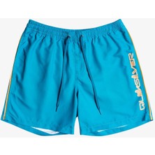 Quiksilver Erkek Volley Short Everyday Vert Volley 16 Mavi
